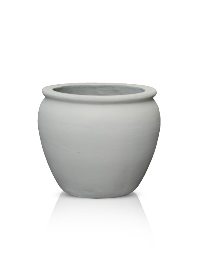 Shield Conditioner